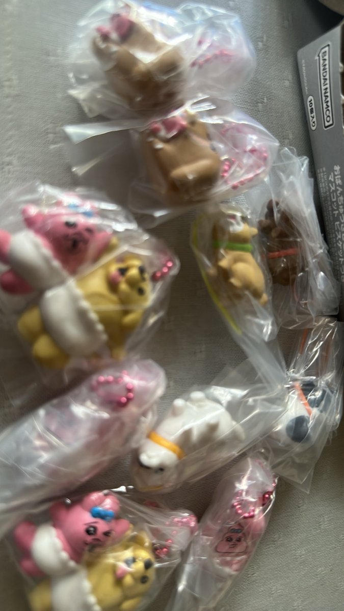 252smile's tweet photo. 箱買いとはいっても開けられてるやつ買ってんけど被るんや😭そして1番目当てやったペキニーズが出んとかある？？？ https://t.co/pYN9kBIrtH