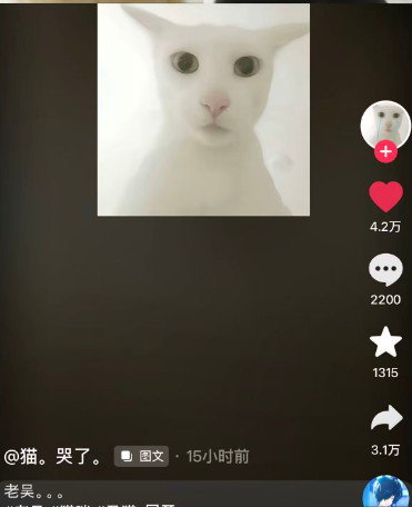 WOOF1283161's tweet photo. DOUYIN最近最火的ip，网友纷纷二创，老吴老吴老吴，你受伤了没有老吴！douyin邪教组织，老吴军团 https://t.co/Kzkx0KQXLi