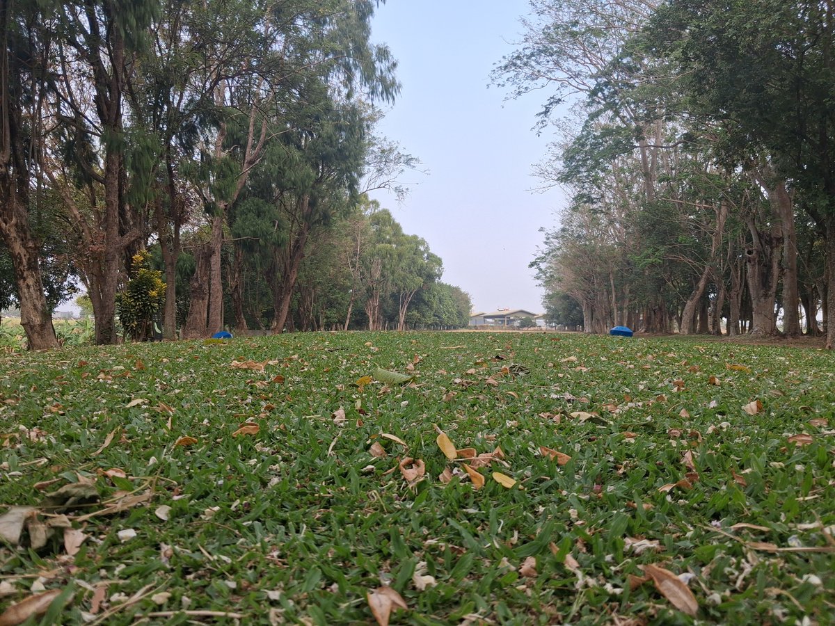 StartingId tweet picture