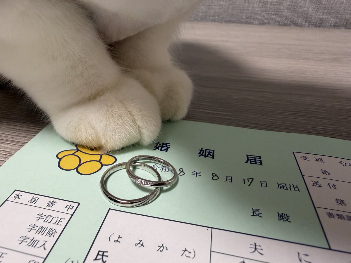 T10SRDD's tweet photo. 入籍！ https://t.co/eqg6wossRV