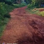 Photo by Dr. Ngira David (@davidngira)