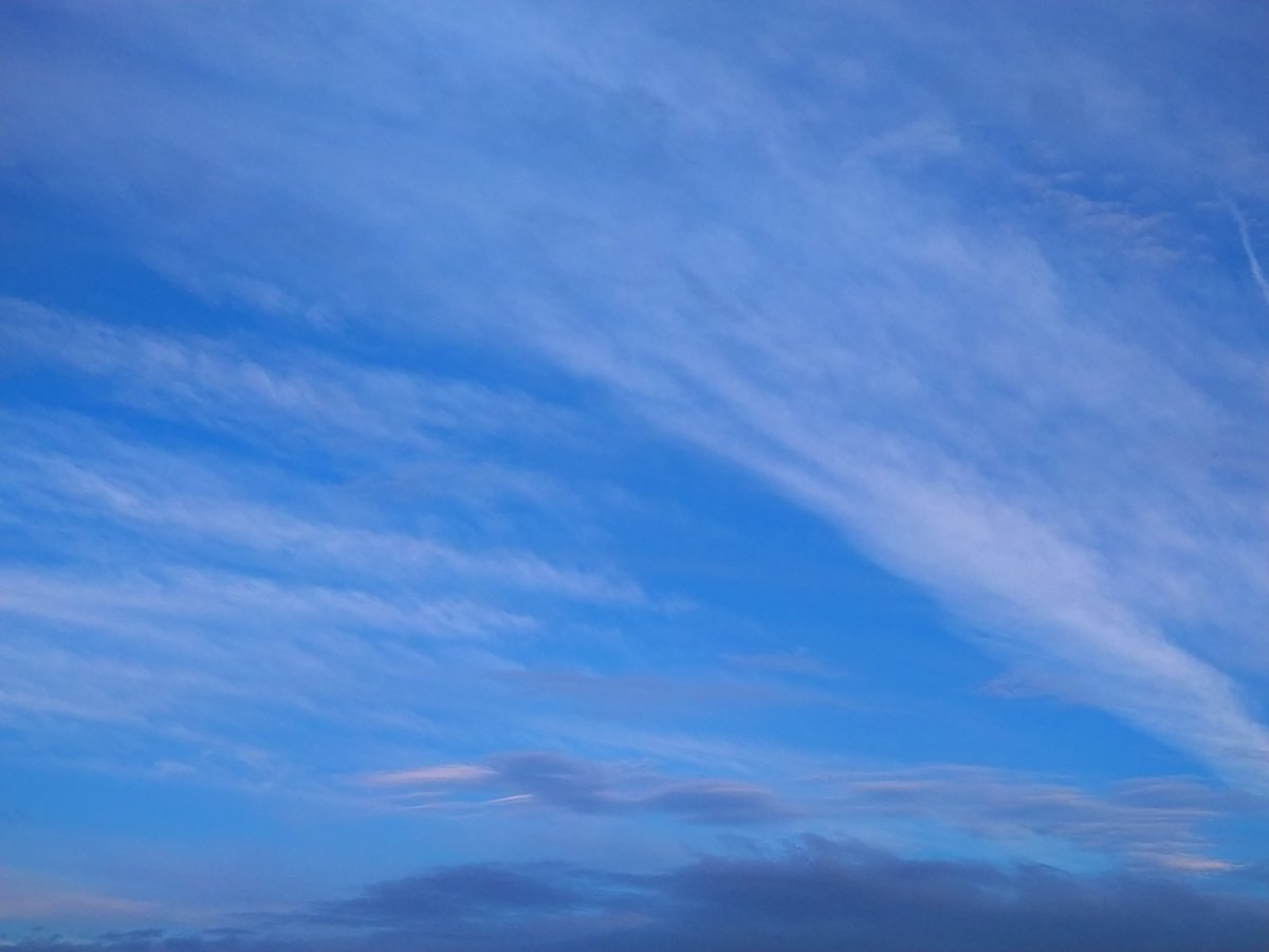 703falconala283's tweet photo. 早朝の空。
ツバメとコシアカツバメが
飛び交っていました。 https://t.co/DhwkQukfN0