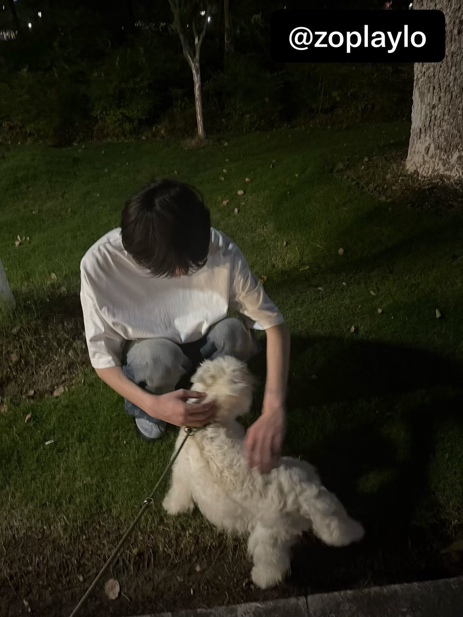zoplaylo's tweet photo. https://t.co/fMjbDPax6U