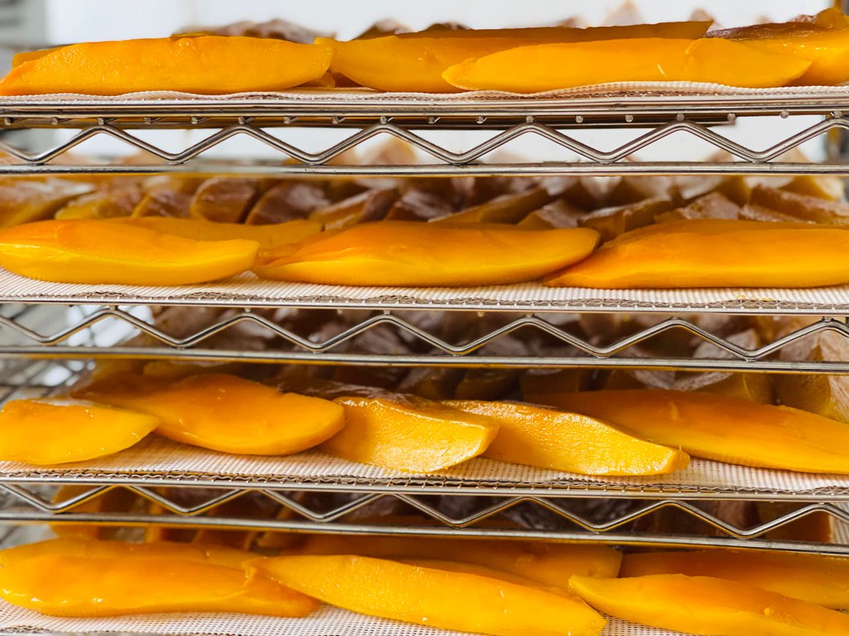 TZieme80441's tweet photo. Just found the most crunchy and sweet mango dried slices! Sharing half of my pack with my desk buddy https://t.co/kIQ7Wvop4V