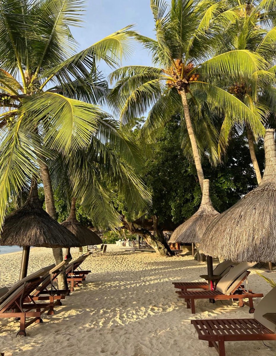 W0rld2026's tweet photo. Mauritius 🇲🇺 https://t.co/sympVeTW5t
