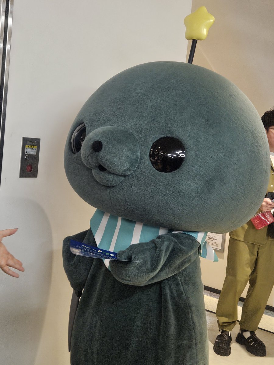 3939skmo2's tweet photo. えっ？お盆終わったの？
抱きしめたいよ。タマ…

おれは　おまえなんか　しらん！

って思ってそう(笑)

#教育番組
#タマ https://t.co/9xvxrP2lmW