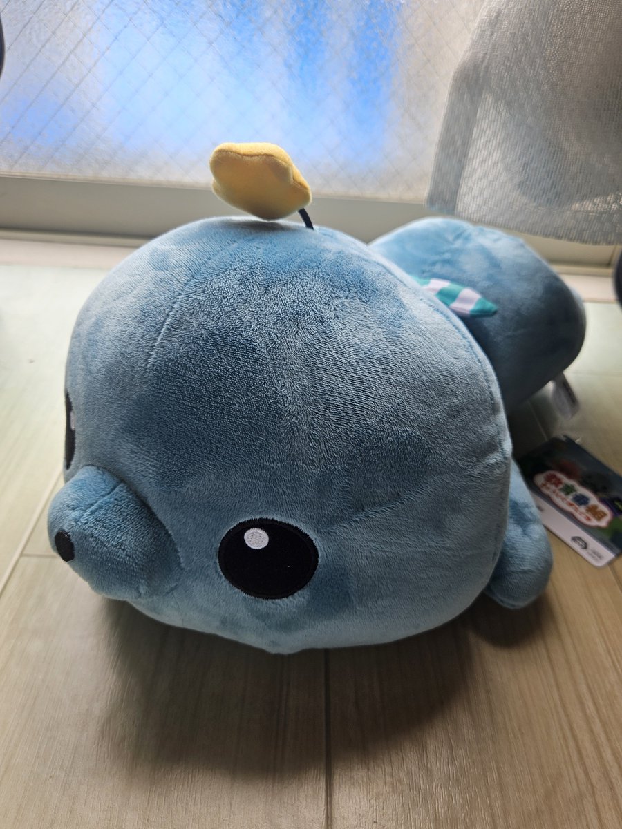 3939skmo2's tweet photo. えっ？お盆終わったの？
抱きしめたいよ。タマ…

おれは　おまえなんか　しらん！

って思ってそう(笑)

#教育番組
#タマ https://t.co/9xvxrP2lmW