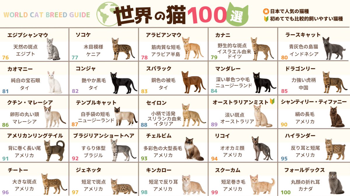 lavie_design_m's tweet photo. 絶対作りたかった猫図鑑完成したから
是非みて欲しい〜🐈 https://t.co/u687WHCxyB