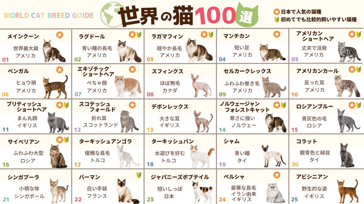 lavie_design_m's tweet photo. 絶対作りたかった猫図鑑完成したから
是非みて欲しい〜🐈 https://t.co/u687WHCxyB
