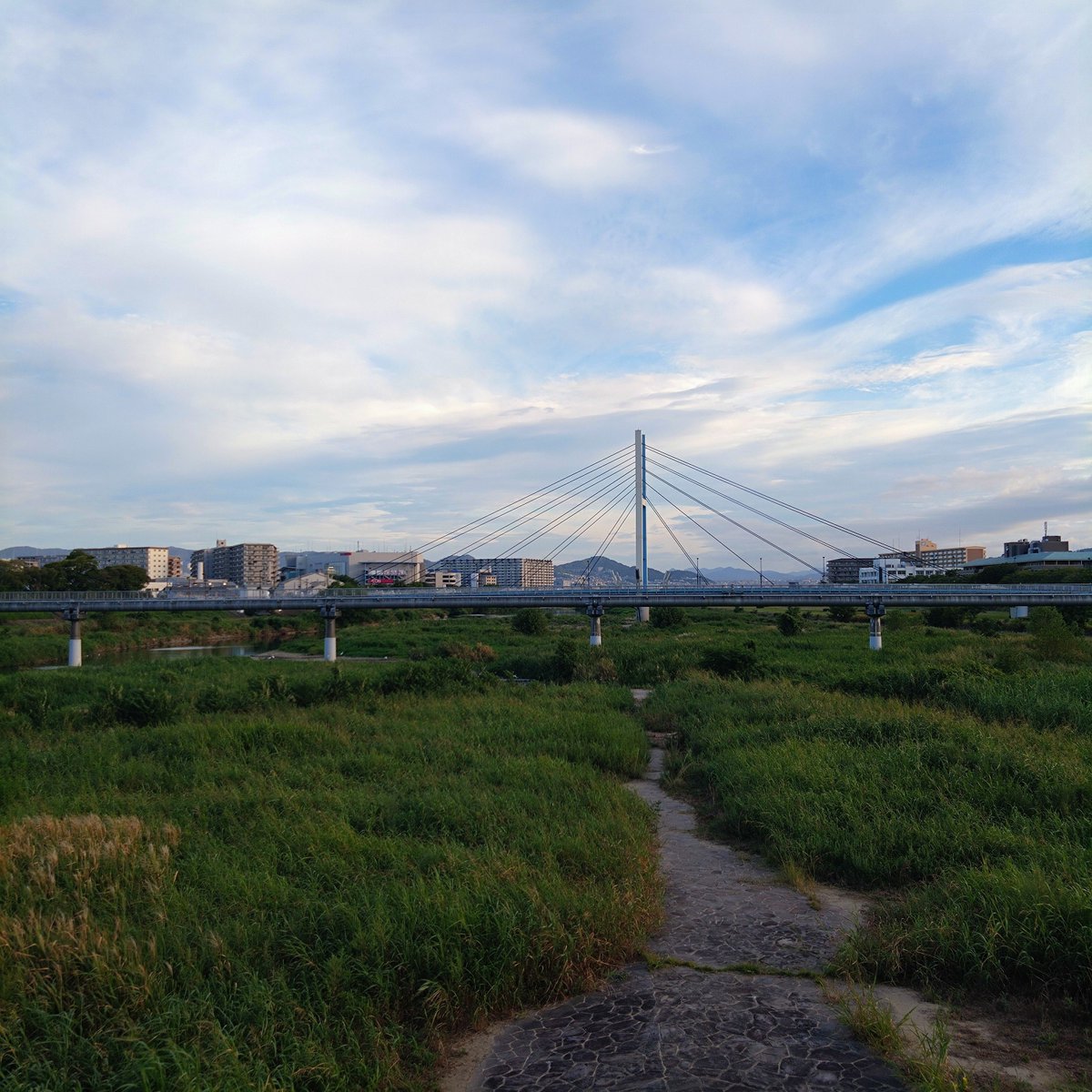 Tokucyan2's tweet photo. 復活しました！🌄
#猪名川 #藻川 #walking #cycling #河川敷 #水道橋 #ラジオ体操 #六甲山 #箕面山麓 #五月山 #伊丹 #園田 #阪急園田駅 #農業公園 #神津大橋 #生駒山麓 #園田競馬場 #甲山 https://t.co/SxOFcyB2sM