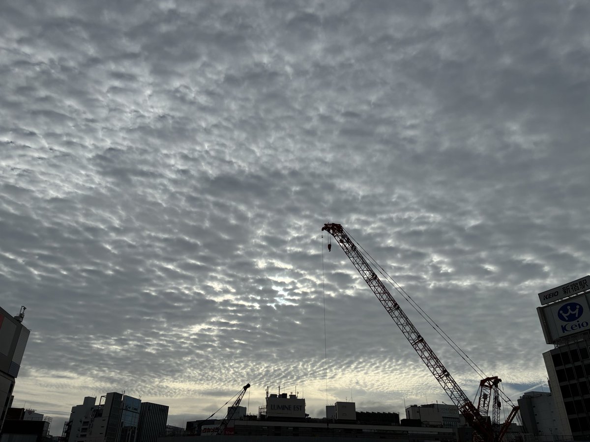 papi1972's tweet photo. おはよう新宿☁️
お盆休みが終わり、車内が混み合ってきましたね😫
快適通勤だった日々とはお別れです👋 https://t.co/dzjXyMrDQs