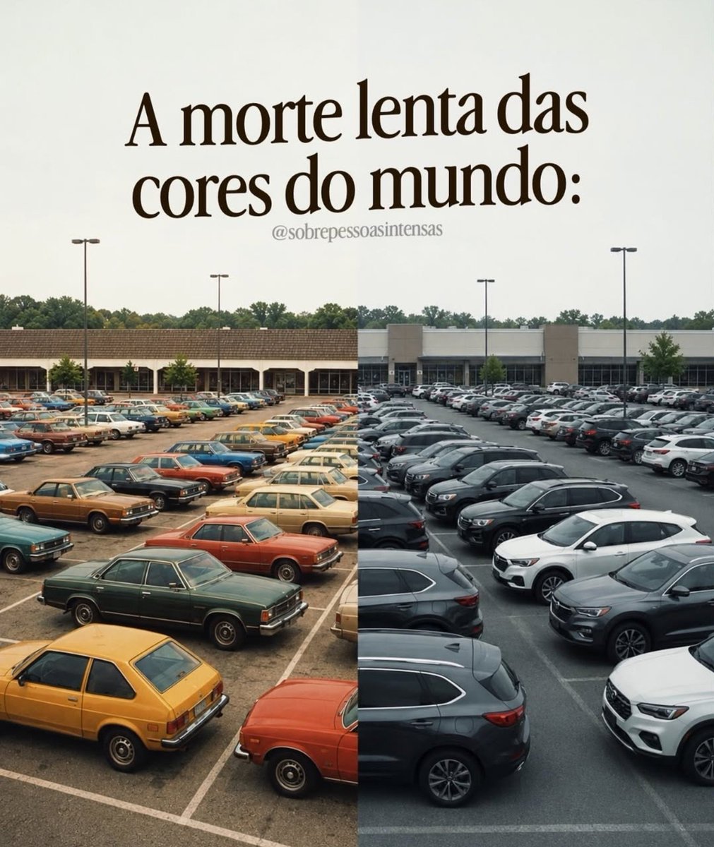brendasafra's tweet photo. agora uma tristeza:
a morte lenta das cores do mundo
de repente, tudo virou cinza https://t.co/W5Qc7Ry2a8