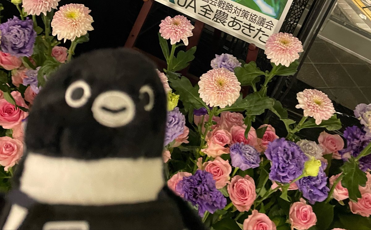 Post by lanai on X: おはペンです🐧