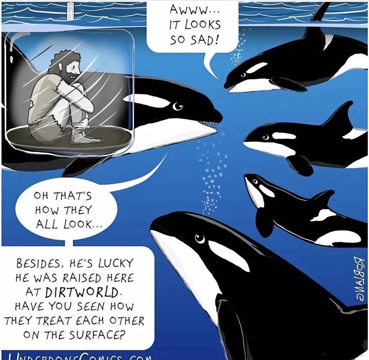 Universal4karts's tweet photo. If anyone is interested you should watch the documentary "Blackfish" it's about seaworld stealing killer whales and making them perform. It's really terrible but they end up having to close down https://t.co/A9Z9XCKCzl