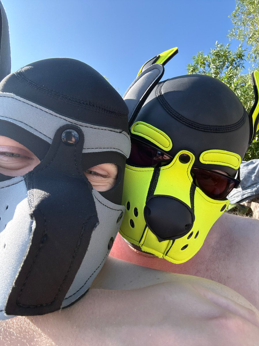 MartinMaint96's tweet photo. Beach day with puppy and myself 😍 https://t.co/GFtrcjvI0z