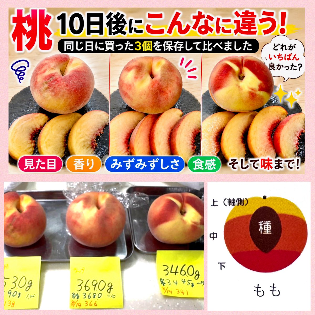 okubo1968's tweet photo. 【🍑桃の保存、どうしてる？】
そのまま・ラップ・アルミホイルで10日間保存して比較検証！

10日後、3つの桃には驚くほどの違いが！

一番おいしい状態を保てたのはどの方法？
実際に見て、切って、食べて検証しました🍑
🔗 https://t.co/A7TOowxp6E
#桃 #桃の保存 #山梨の桃 #旬の食材 #料理のコツ https://t.co/AKbbCdHlBq
