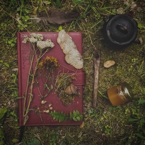 D0llfvn's tweet photo. Devour Me By Emily Rath
Start date: 1/8/26
End Date: 16/8/26

˙⋆✮ Holy shit was this a read and a half. I need the second book now.

#books #booktwt #devourme #emilyrath https://t.co/rHRERDNPKV
