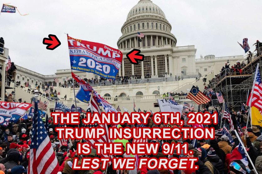 Flagman003's tweet photo. #donaldtrump #jan6th #j6ers #insurrection #democracy https://t.co/PLeBYcb8GB
