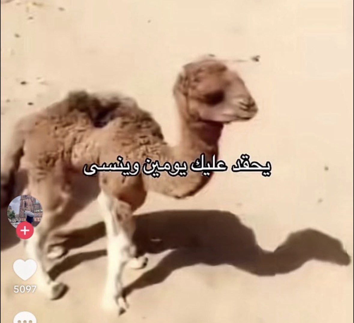 totallyni's tweet photo. فتحت قائمة البلوك وماعرفت مين ذولي وليش بلكتهم https://t.co/QRJsNR6y3p