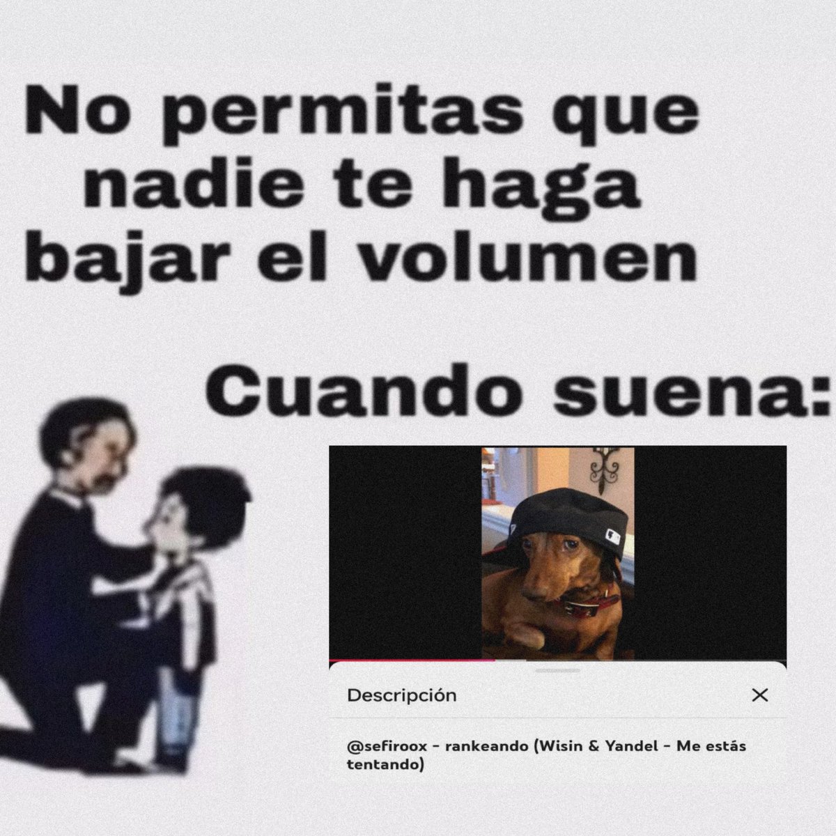 dearlinnly's tweet photo. LA CANCIÓN DEL CATFIROX
THE BEST COUPLE OF THE YEAR

#catfirox 
🫶😿 https://t.co/mUYe9bwlrH