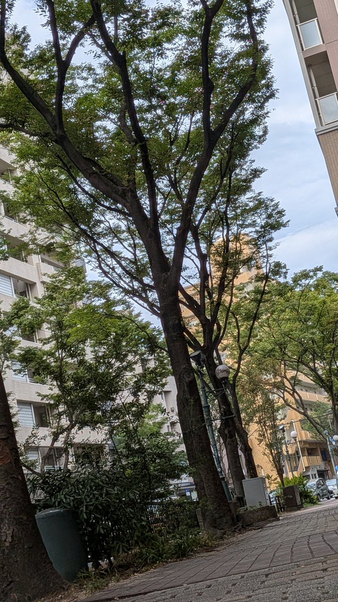 Summerluv812's tweet photo. ついこの間まで過酷な環境の現場職だった自分が　今　福岡のオフィス街をスーツ着て歩いて出勤。
【変わりたい】は御縁と行動ひとつで現実化する！！ https://t.co/bU2kdw3JOn