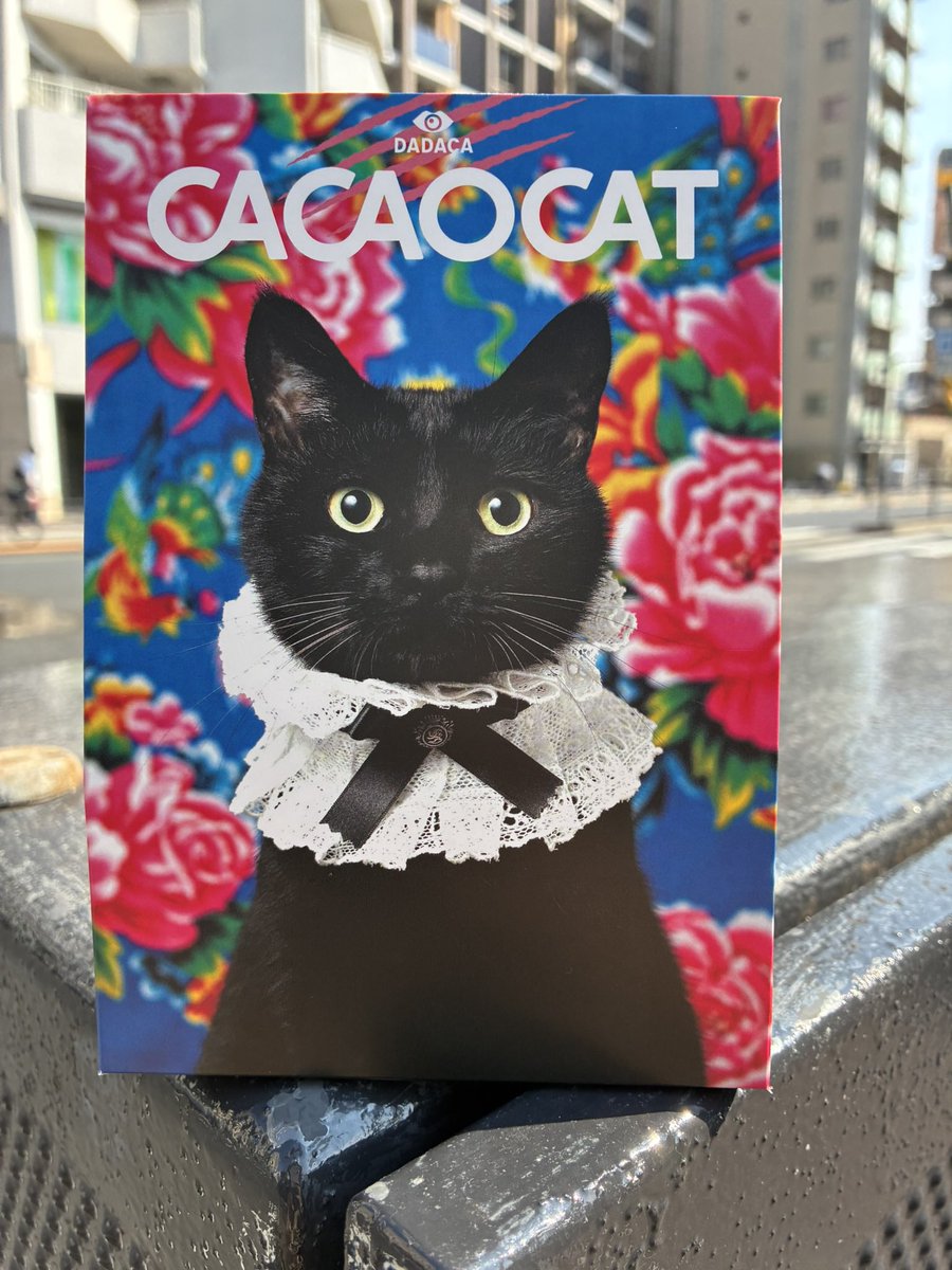 kanechaaaaaaan's tweet photo. 先日　白金台で保護した黒猫ちゃんです https://t.co/OmNRUmWc2L