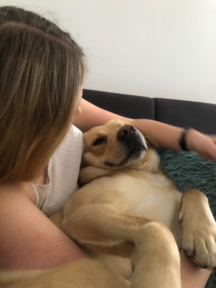 PinkyPawHubb's tweet photo. Every cuddle, every walk, and every playful moment makes our bond stronger 🐶❤️ Come be part of our story

https://t.co/nhxsim22d8 https://t.co/PoyBmks02o