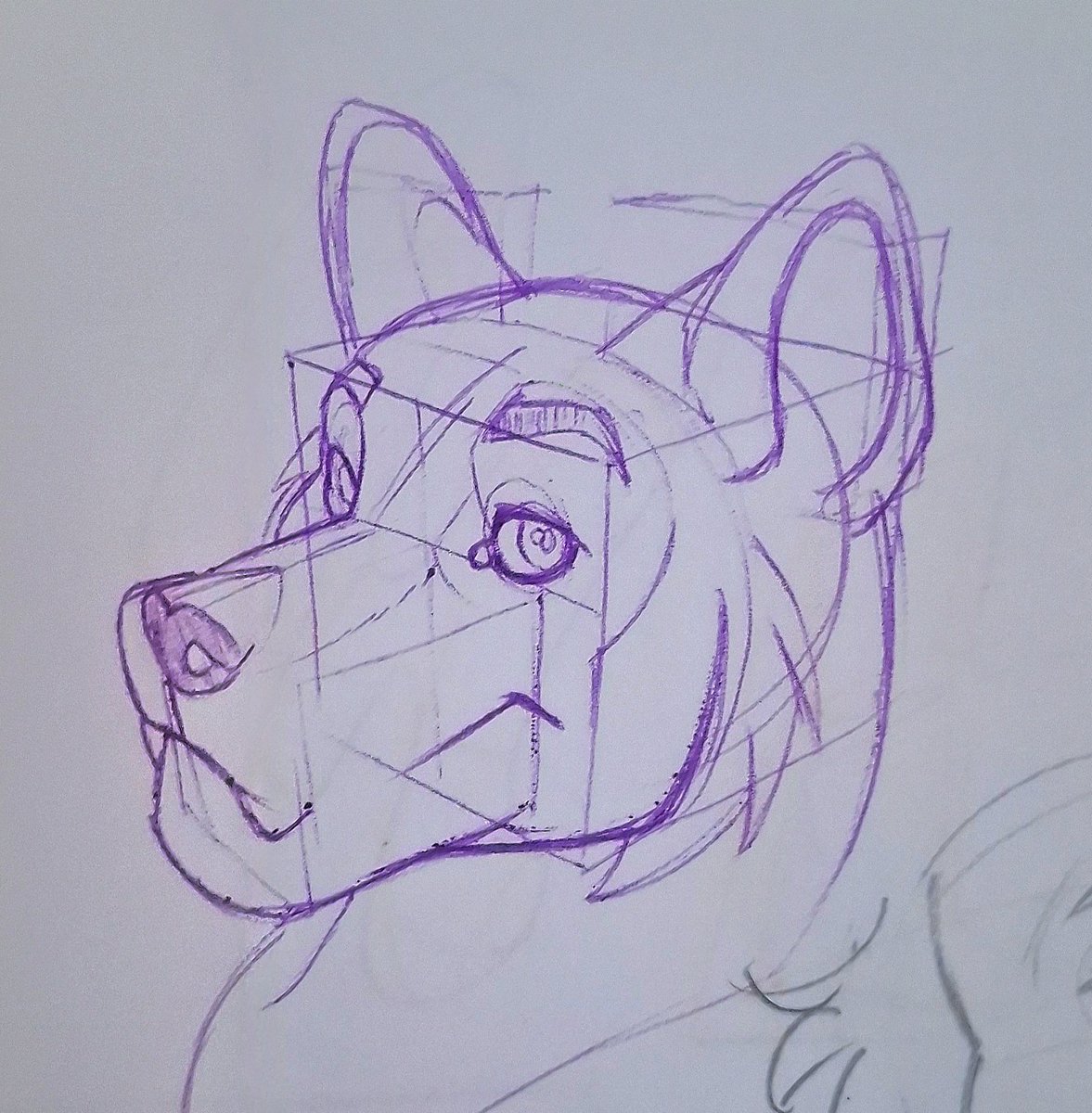 Blueyyxz_'s tweet photo. I underestimated the power of boxes #Furryart #art https://t.co/0MbB1gSxM8
