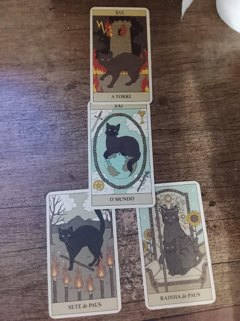 catywwst's tweet photo. eu fui tirar tarot pro consulente pra decidir entre duas pessoas e descobri que elas é literalmente o yin yang, nao só pelas cartas que cairam mas como também UMA VEIO GATOS CLAROS E OUTRA VEIO GATOS PRETOS VSF MTO LITERAL https://t.co/6gXV5DcJpc