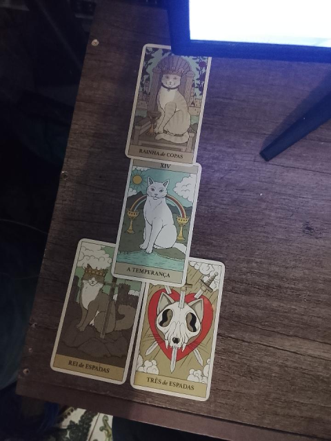 catywwst's tweet photo. eu fui tirar tarot pro consulente pra decidir entre duas pessoas e descobri que elas é literalmente o yin yang, nao só pelas cartas que cairam mas como também UMA VEIO GATOS CLAROS E OUTRA VEIO GATOS PRETOS VSF MTO LITERAL https://t.co/6gXV5DcJpc