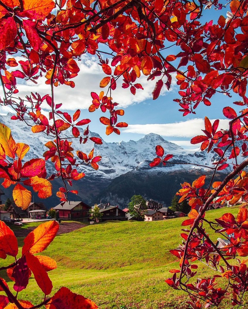 echoesofworld's tweet photo. Autumn in Switzerland https://t.co/xH2KLQtNUe