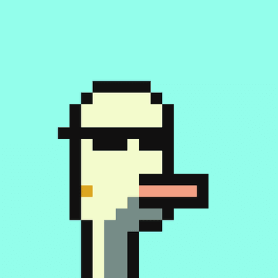 Mathai40's tweet photo. I heard #NFT season was back so I had to give a shout out to my @thugDAO ! I bought this bird right before we took off the first time for my wife, she wants to use it for her pfp, she loves the birdz! Catch a blonde walking around with a thug hoodie on it's probably her ;). https://t.co/kshJGCpQj7