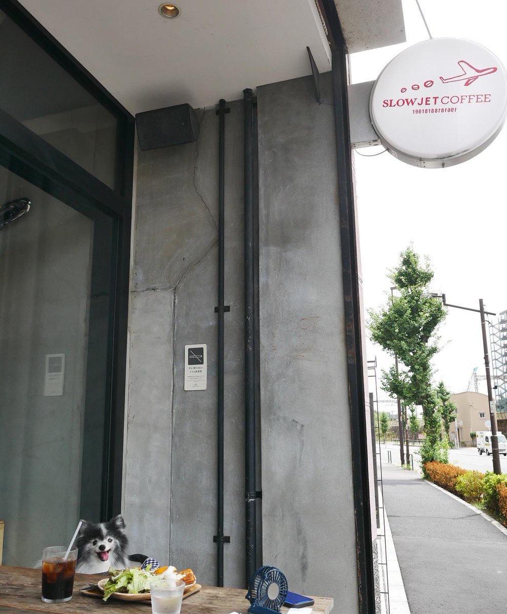 yo_0203pon's tweet photo. 今日の朝んぽ。
ここもたまに来てたカフェ。
久しぶりの店内。
セットのアイスコーヒーは大容量でコスパよい。 https://t.co/jiOuSDqsNl
