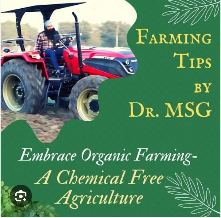 Neha0272's tweet photo. Farmers provides food by their hard work. They serves #HumanityFirst  by efforts. But nowadays #Farmer is in bad conditions. They are taking https://t.co/IRQdQ3JomW the #Inspiration of Saint Dr M SG they are doing organic farming and getting output. https://t.co/3Ue2Prq53i
