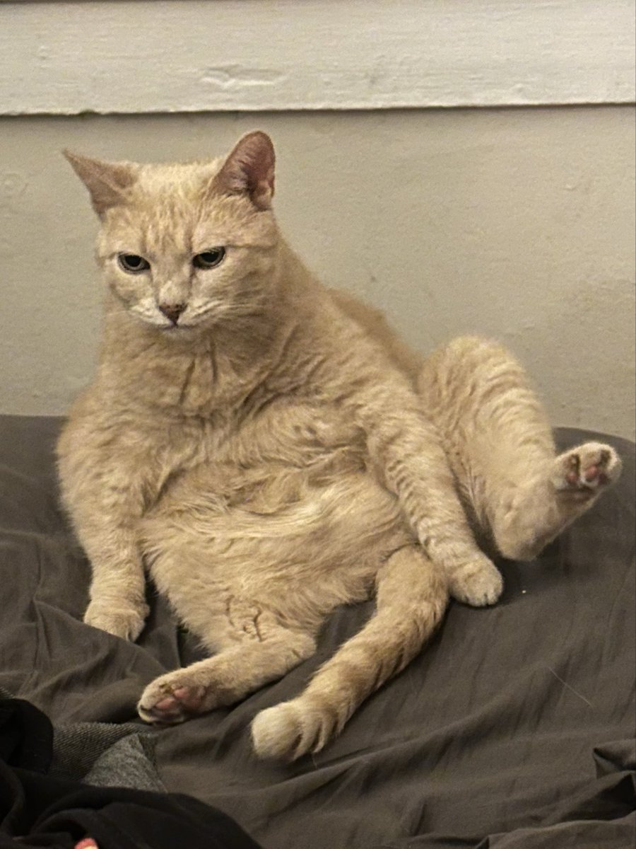 NoirPhilosopher's tweet photo. Grandma doesn’t liked to be disturbed during bath time https://t.co/pvD8drUILQ