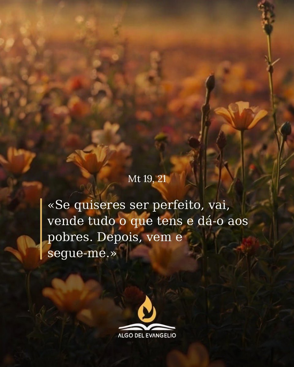 ronaldopdo1's tweet photo. https://t.co/4RmT3QFryq