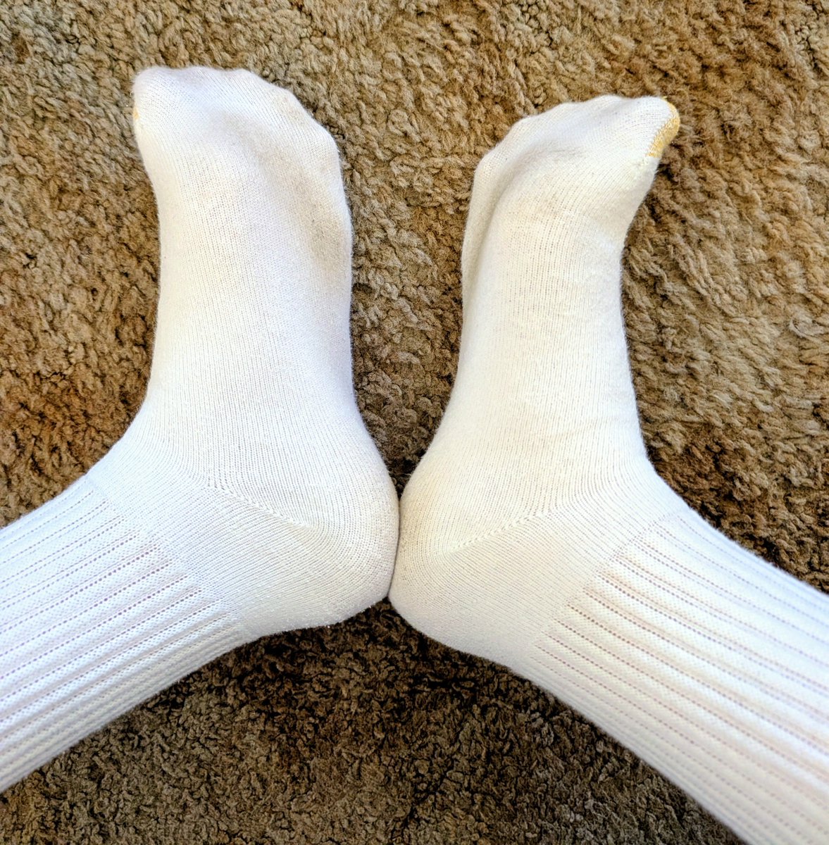 FinDomCop95's tweet photo. What do we think of the white Goldtoes? They'll be on another two days before shipping out to a lucky sock sniffing loser 💲🤑 https://t.co/X0tLhaNuPy
