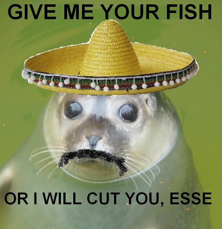 FoxMighty87's tweet photo. @SolLunix Doge took the crown in 2013.

But the challenger never disappeared.

Walruse is bringing back the forgotten seal-walrus meme that once tried to take the throne.

Round 2 starts now. 🦭

Ca:82uM3pAPfd6AL5J3maPETqvR2JRutSYtBHkHgCkbpump https://t.co/QCSXddG6Je
