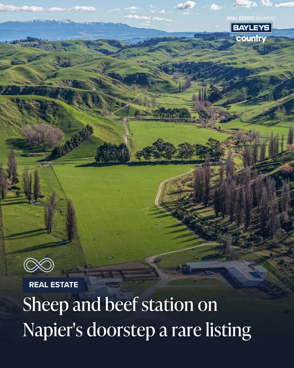 CountryWide_NZ's tweet photo. Country sales specialist Tony Rasmussen from Bayleys says the scale and location of a 716ha sheep and beef property listing just 15 minutes from Napier are rare.

https://t.co/JjZWc6IQ6h https://t.co/fCtPSzvD4q