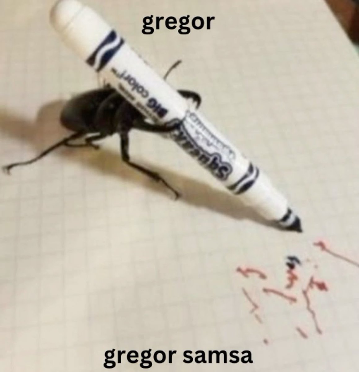 shitpostverdade's tweet photo. https://t.co/RenUqidbZN
