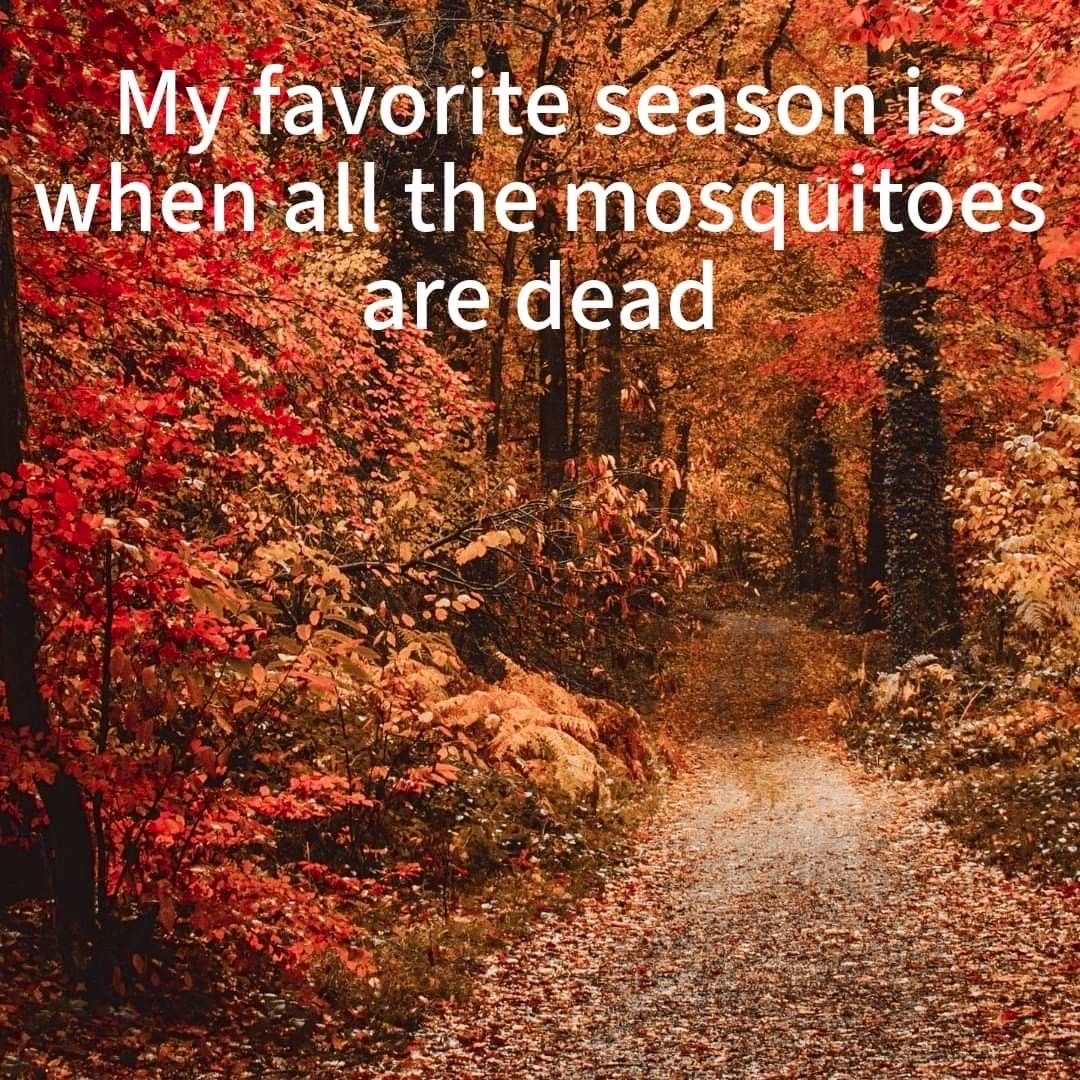 spookyxxboobs's tweet photo. https://t.co/ppDdooga3z