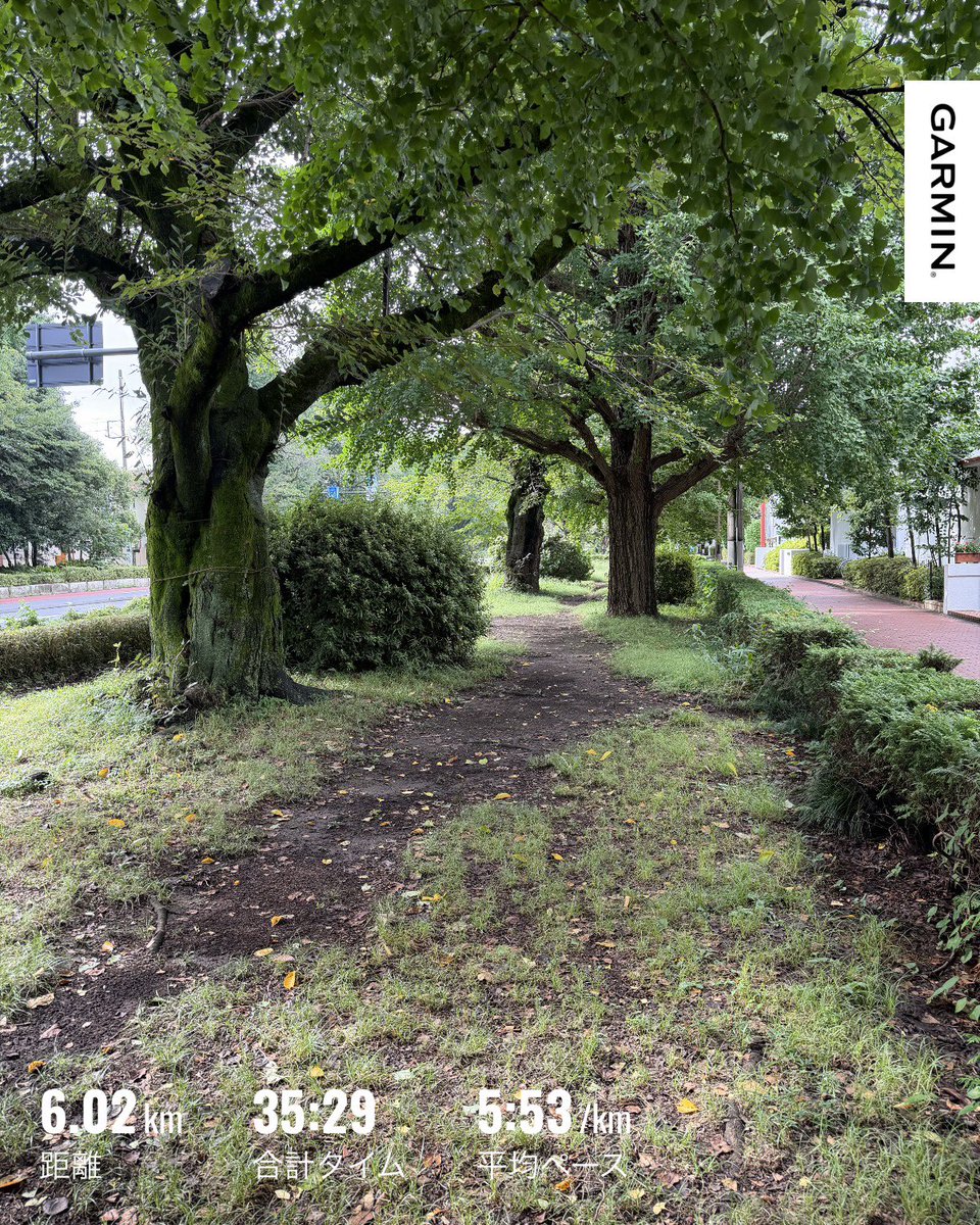 ryoden_run's tweet photo. 朝ラン。
山の日があったので、本日まで夏休み。仕事で至急対応を要することもなく、ゆっくりすることができました。コツコツ走れたし、また明日から頑張ります！
#朝活 #朝ラン #ランニング #ジョギング https://t.co/IVPhEP9A5L