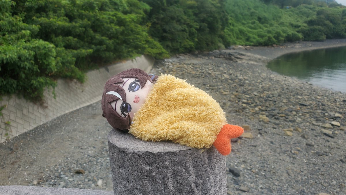 I_LOVE_TICKET_'s tweet photo. おはち https://t.co/sHSFpx3QZr