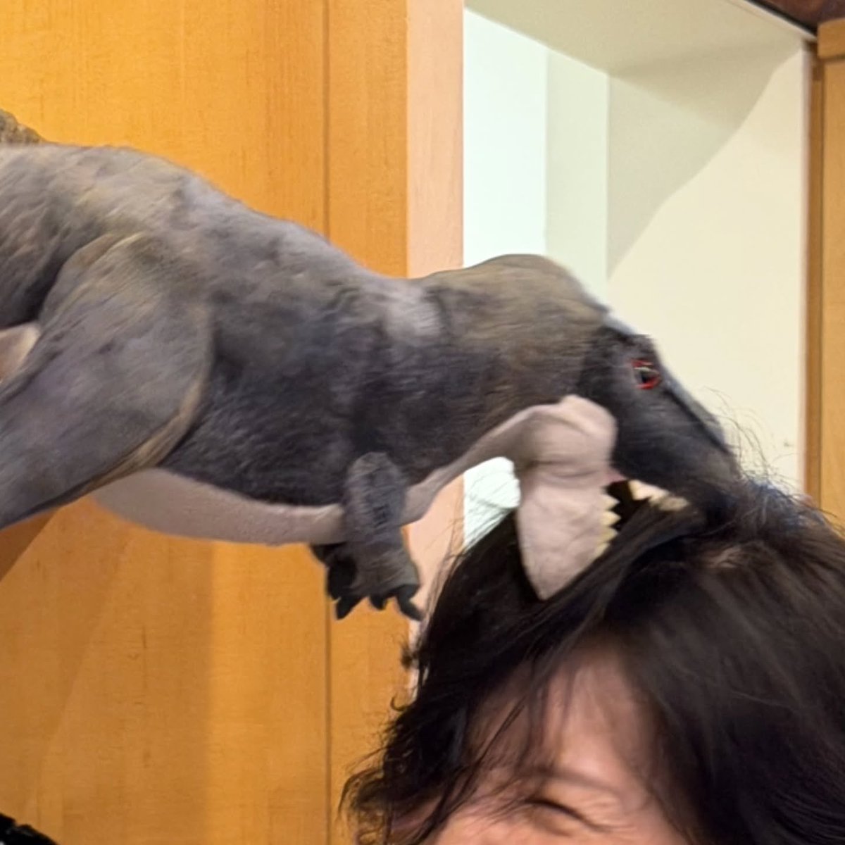 GadzChan's tweet photo. Dino-Hyejinnie 🦖✨ 

#화사 #Hwasa https://t.co/Y7VvtWO4kF
