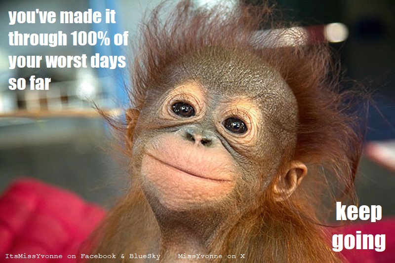 MYvonne10054's tweet photo. Brace yourself for another week, fellow travellers.
#monday #newweek #keepgoing #onestepatatime https://t.co/x7hsyxKUxd