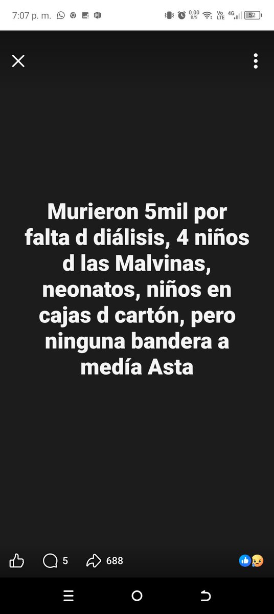 BereniGata's tweet photo. @LassoGuillermo @DanielNoboaOk @laviniavNoboa https://t.co/XgqyJkgPGx