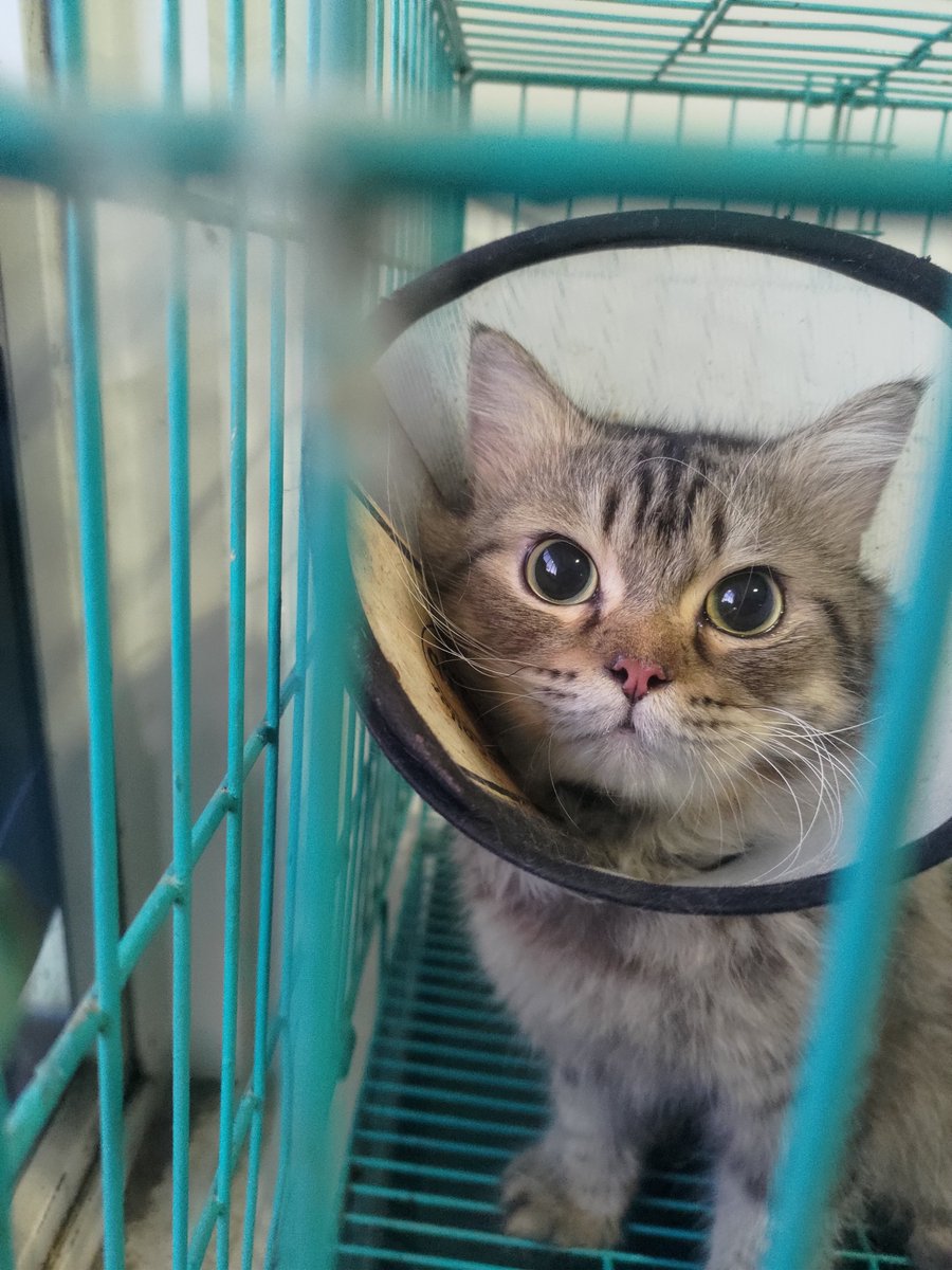 yrfuturehusband's tweet photo. Gws Mokacino. https://t.co/TPGt7pbVMc