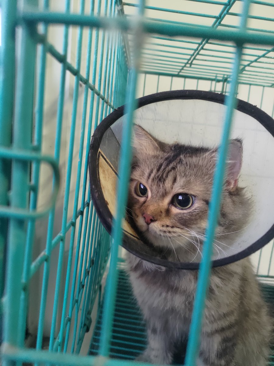 yrfuturehusband's tweet photo. Gws Mokacino. https://t.co/TPGt7pbVMc