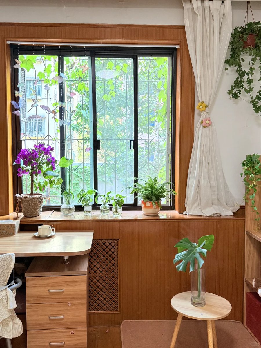 Justinb57486142's tweet photo. Never thought I’d be baking sourdough and growing herbs in my tiny city apartment this year — so much warmth in small, new daily wins ， https://t.co/4L7MjfD6nb