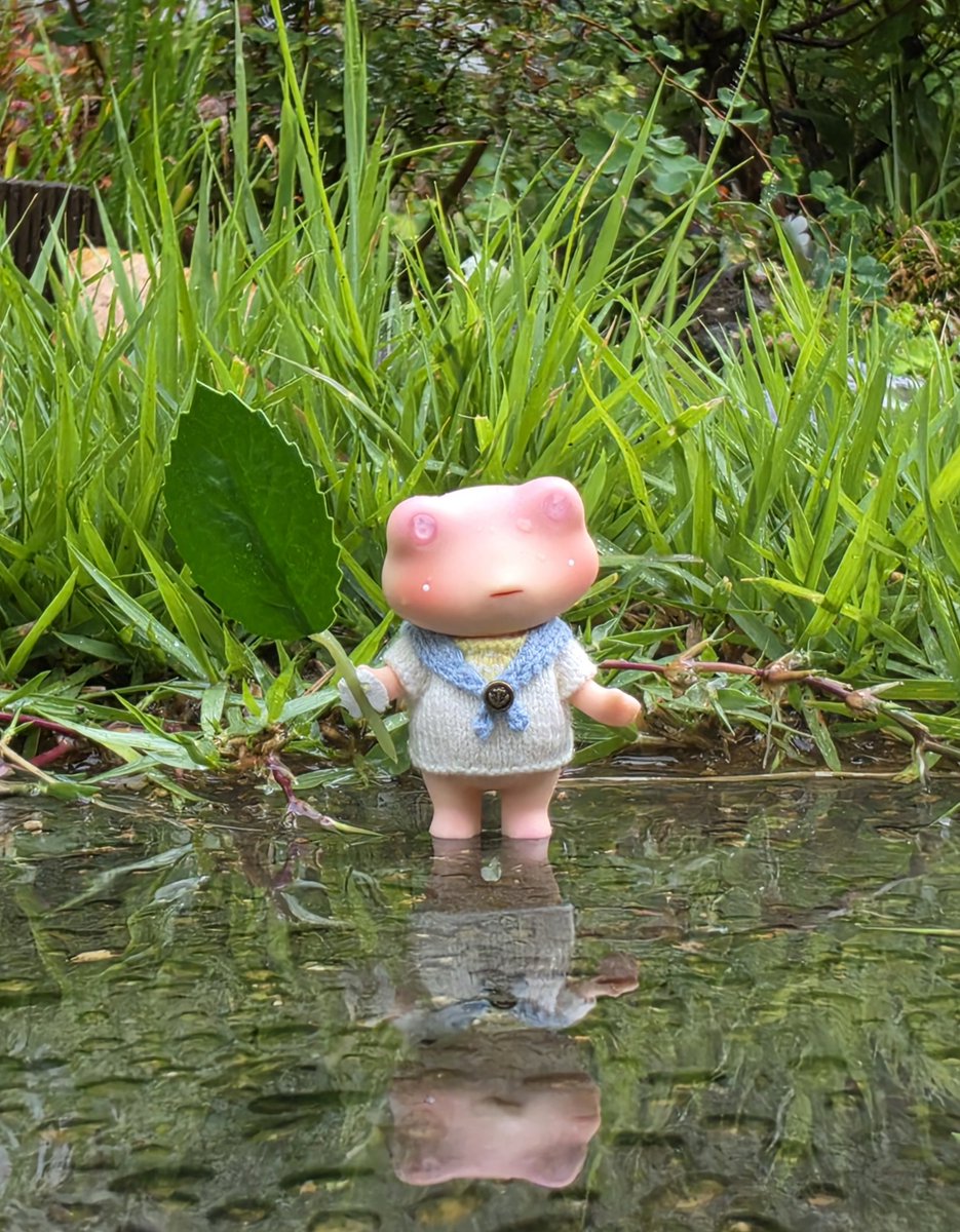 sewangjamom222's tweet photo. Raindrops go tap, tap… ☔️🐸

#雨の日
#ぬい撮り https://t.co/Ib3zrs4vw2